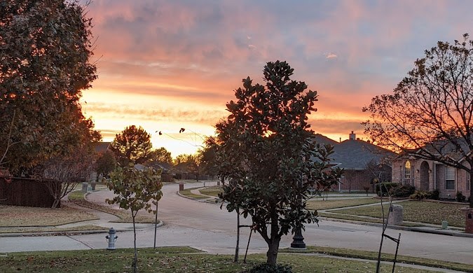 Garage Door Repair in Little Elm TX